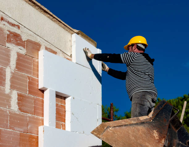 Best Local Insulation Services  in Johns Creek, GA