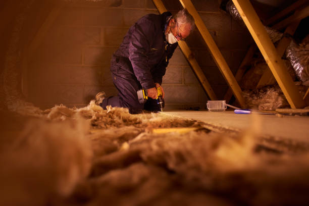 Best Insulation Inspection Services  in Johns Creek, GA